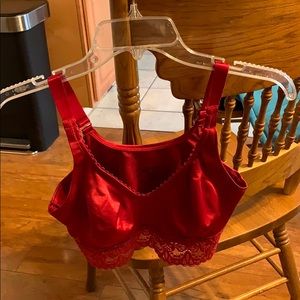 Ruby Ribbon Lace Demiette Red Size 34